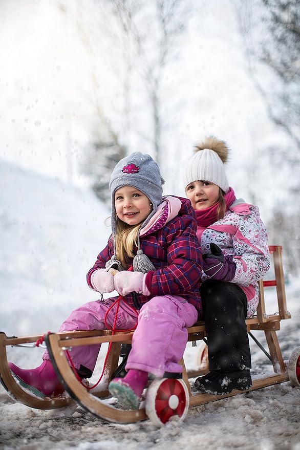 Roll Rodel Bausatz Ohne Schlitten Tuning Set Fur Alle Holzschlitten Rollen Fur Kinderschlitten Rader Fur Schlitten Aus Holz Amazon De Spielzeug