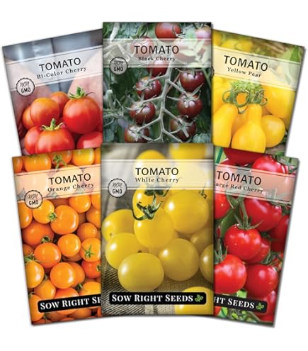 Amazon.com : BHN 444 F1 Hybrid Tomato Seeds (40 Seeds) Seeds for