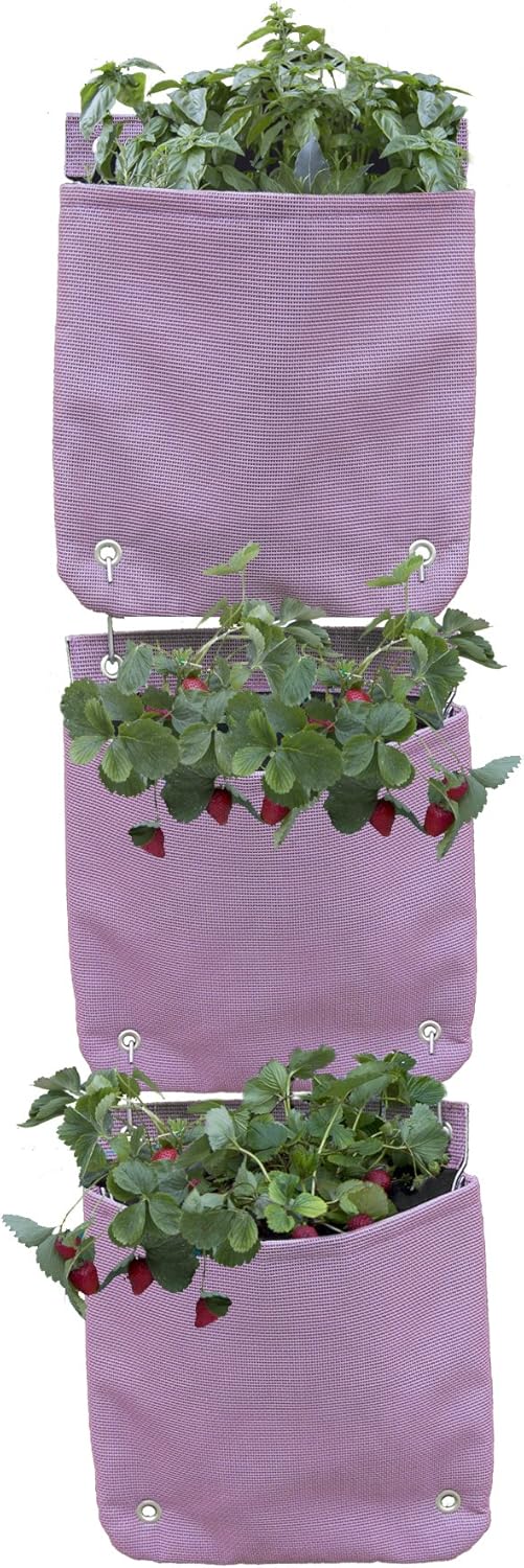 Huerto colgante Veggie Bag. Para fresas, plantas aromáticas ...