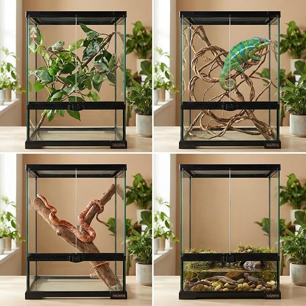 WAAZOOREP 11 GALLON REPTILE GLASS TANK VERTICAL TERRARIUM 12″X12″X18″ HABITAT ENCLOSURE WITH FRONT OPENNING DOOR AND TOP SCREEN VENTILATION FOR GECKOS, SNAKES,TREE FROGS,CHAMELEON