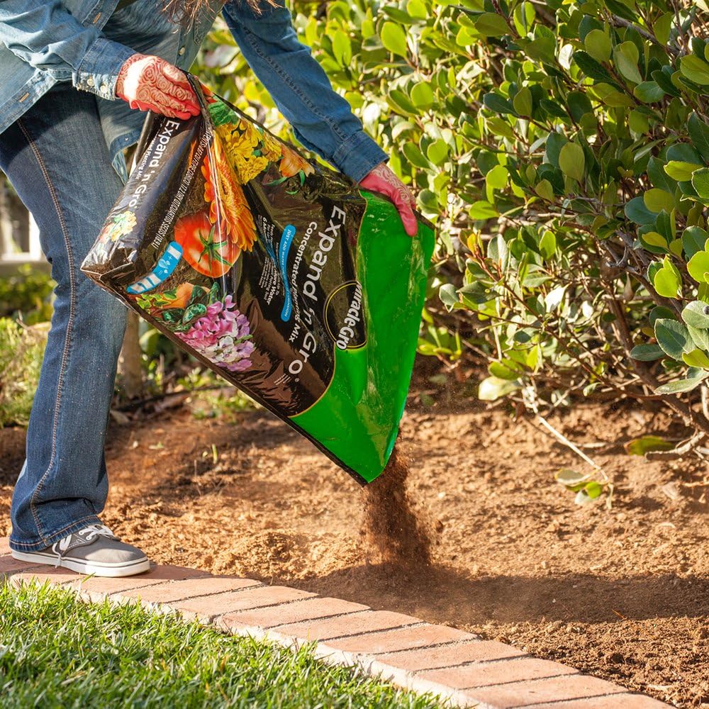 Miracle-Gro Expand 'n Gro Concentrated Planting Mix 0.33 Cu Ft : Garden & Outdoor