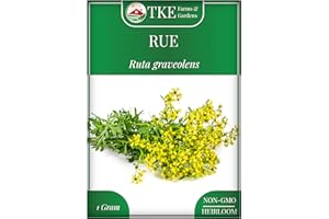 TKE Farms & Gardens - Rue Seeds for Planting, 1 Gram, 500 Heirlooom Seeds, Non-GMO, Instructions Included, Ruta graveolens, Qty 1