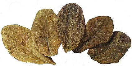 Nano Seemandelbaumblätter/Catappa Leaves 50g (ca.30Stk/10-15cm) Zur Förderung der Farbenpracht&Laichbereitschaft bei Zier – u