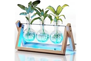 PLANTERS' CHOICE Light Up Bamboo Air Planter - Plant Lover Gifts for Women, Unique, Best Indoor Gardening Housewarming Office Home Decor, Mom, Grandma, Her, Sister, Friend, Birthday, Garden Terrarium