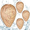 DECYOOL 4 Pack Wasp Nest Decoy Hanging Wasp for Wasps Hornets Yellow Jackets Outdoor Waterproof Material (Dark Brown)