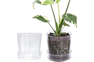Phoenix Vine 6.5 InchClear Acrylic Planter Pot with Tray, Orchid Pot with Drainage Holes, Deep Saucer for Bottom Watering, Transparent Containers for Indoor Plants, Herbs, Set of 2, 91-A-F-2