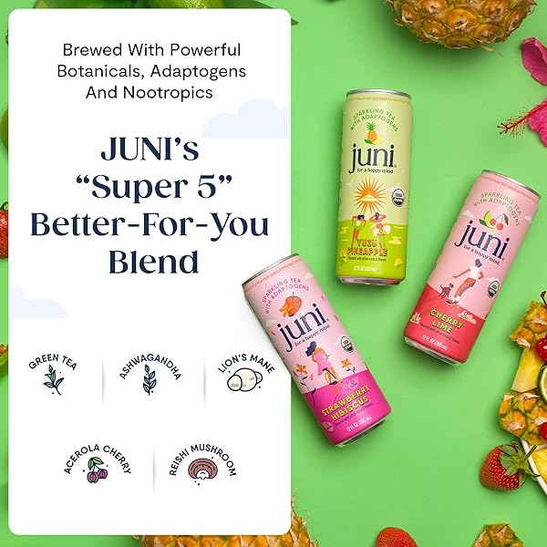 JUNI SPARKLING ADAPTOGEN DRINK WITH ASHWAGANDHA, LION’S MANE & REISHI MUSHROOMS | GREEN TEA FOR FOCUS, ZERO SUGAR, 5 CALORIES | DECAFFEINATED, NON ALCOHOLIC DRINKS – VARIETY PACK (12 PACK)