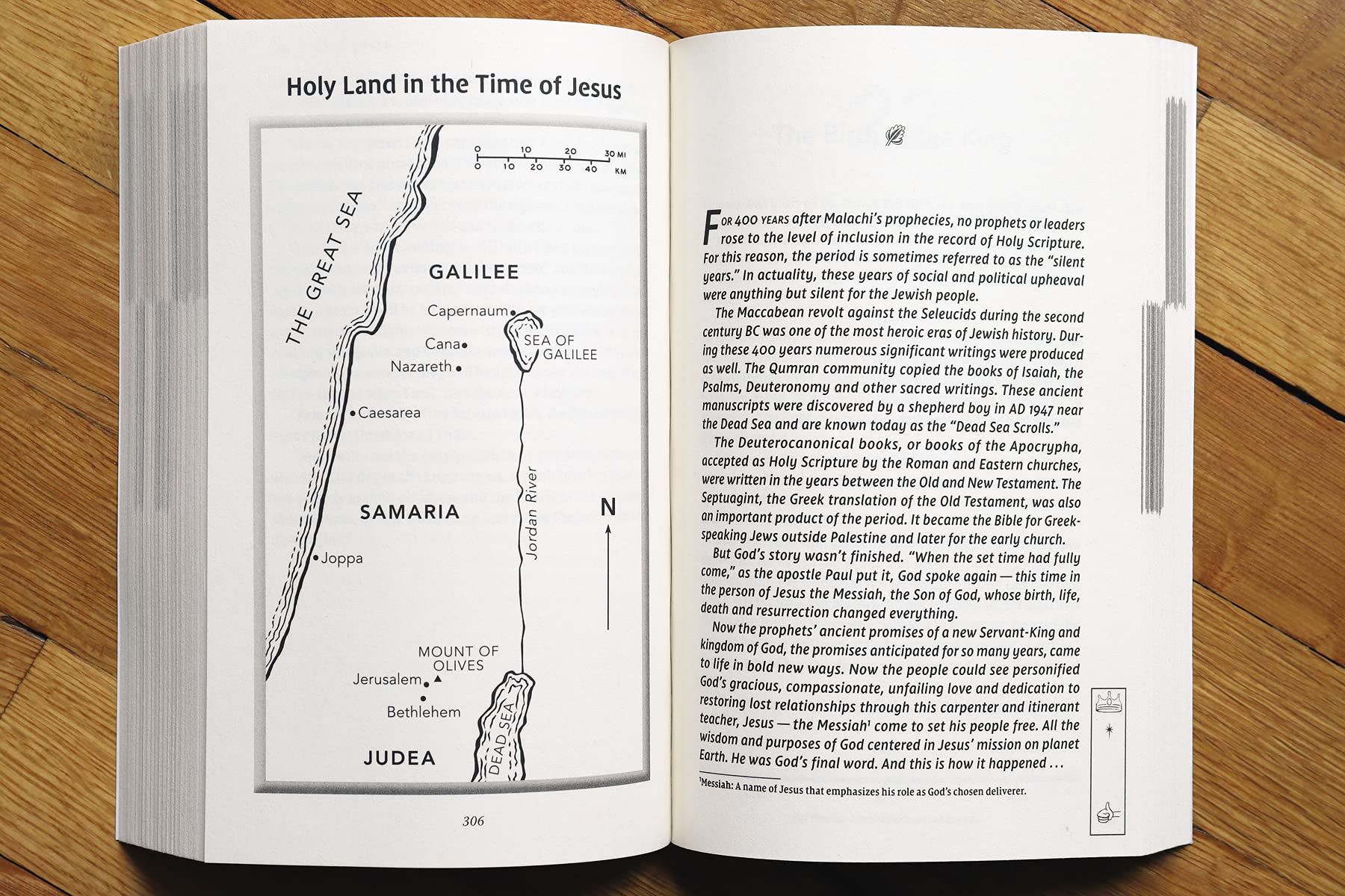 NIV, The Story, Student Edition, Paperback, Comfort Print: The Bible as One Continuing Story of God and His People