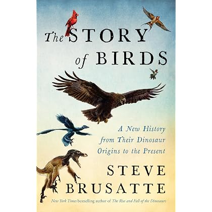 The Story of Birds: The Sunday Times Bestseller - View 5