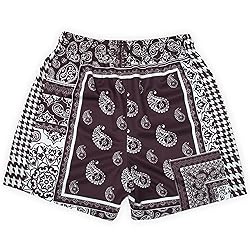 DIOTSR Mens Mesh Paisley Shorts, Casual Retro