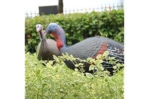 TargetEvo 2 Pack Jake & Hen Turkeys Decoy for Hunting with Stakes Carry Bag Collapsible Lightweight