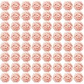 Auihiay 64 PCS Full Hydrangea Flowers, Silk Hydrangea Artificial Flowers Heads with Stems, Artificial Flowers for Wedding, Garden, Baby Shower, Party, Outdoor Indoor Decoration (Light Peach)