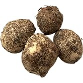Fresh Taro Roots, Small, 1 Pound