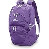 High Sierra Swoop SG Backpack, Travel or Work Laptop Bookbag with Drop Protection Pocket, and Tablet Sleeve, One Size, Light Purple