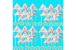 20 PCS DIY Color Filled Kite for Adults Kite Making Kit Bulk Painting Kites for Adults Decorating Colorful Life Kites Party P