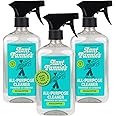 Aunt Fannie's All Purpose Household Cleaner, Multi-surface Spray Cleaner, Powered by Vinegar for Kitchen, Bath, Windows and Countertops, Eucalyptus Scent (Pack of 3) Packaging May Vary
