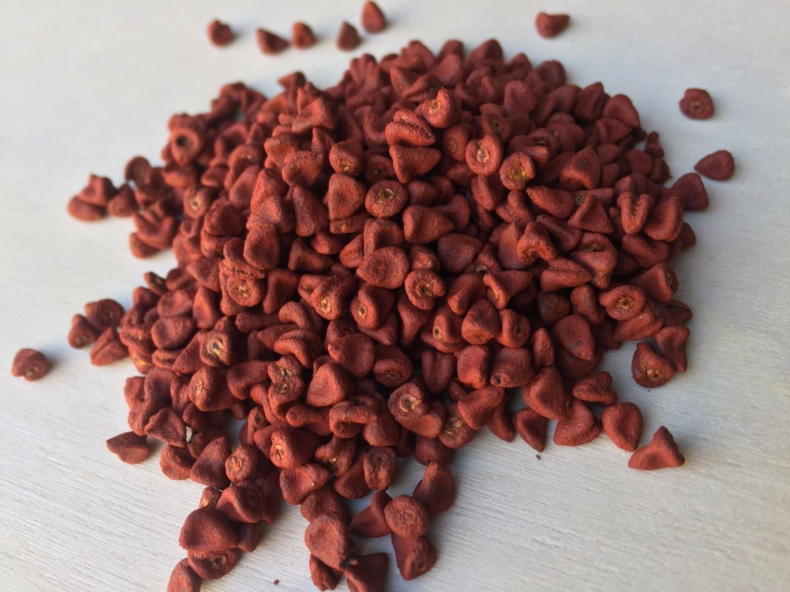 Annatto Seed, Bixa orellana (Whole) ~ Sacred Herbs and Spices from Schmerbals Herbals