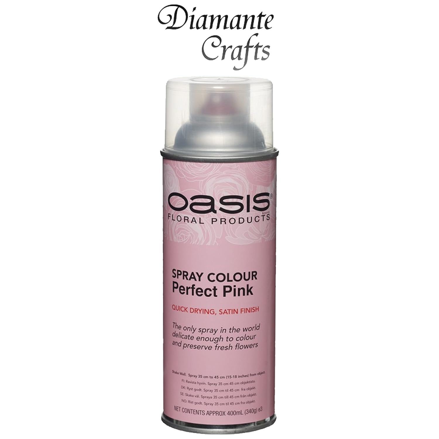 Spray Paint by Oasis 400 ml Cans Fresh Flowers & Crafts Florist 42