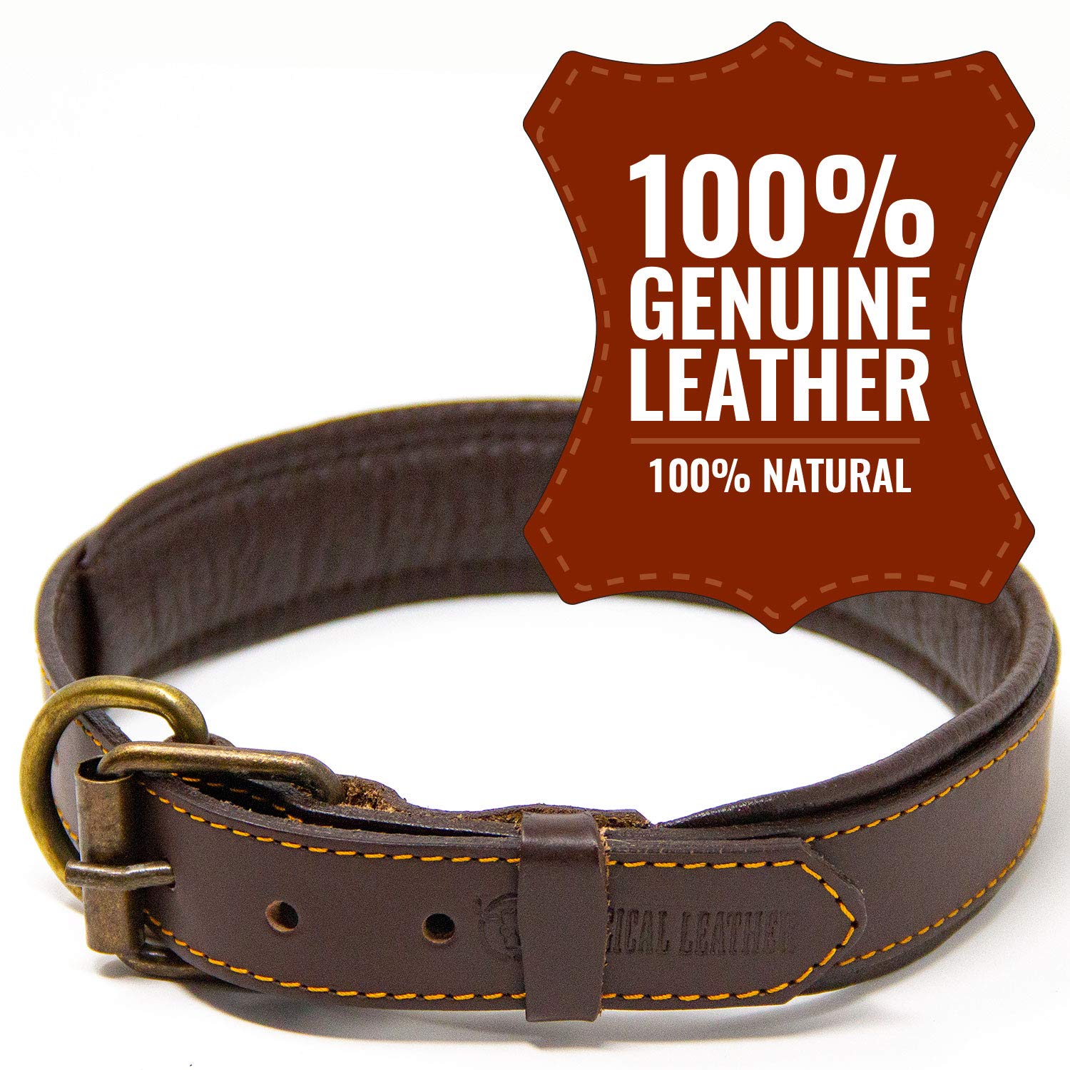 Logical Leather Padded Dog Collar Best Full Grain Heavy Duty Genuine