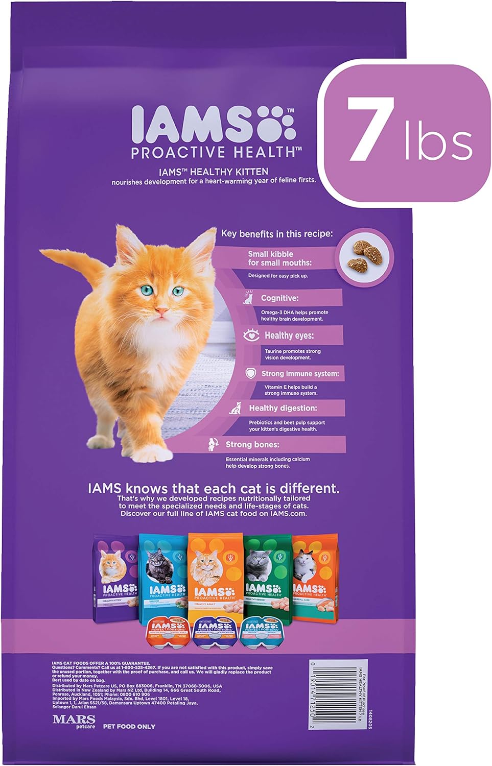 IAMS PROACTIVE HEALTH HEALTHY KITTEN Dry Cat Food with Fish Oil and Chicken, 7 lb. Bag : Pet Supplies