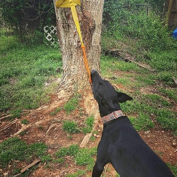 Tresrbo Juguete Interactivo Retráctil para Perros, Juguetes de ...