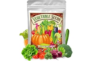 SPROUT N GREEN Vegetable Seeds 21 Varieties, 7,000+ Heirloom Seeds Gift Pack, Veggies Seed Starter Kit for Indoor Outdoor Growing, Home Fresh Food Vegetable Supply