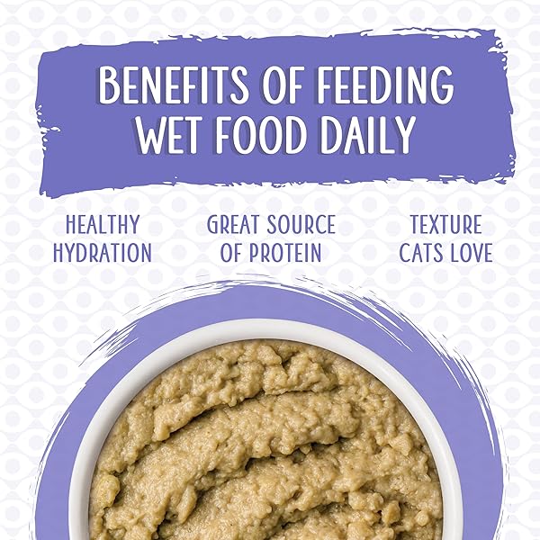 WERUVA SLIDE N’ SERVE PATÉ WET CAT FOOD, THE SHOWCASE CHOWDOWN VARIETY PACK, 2.8OZ POUCH, PACK OF 16