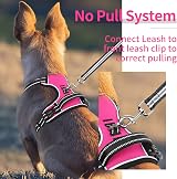 HEELE Dog Harness Small Reflective No-Pull Soft Handle Rose S view 5
