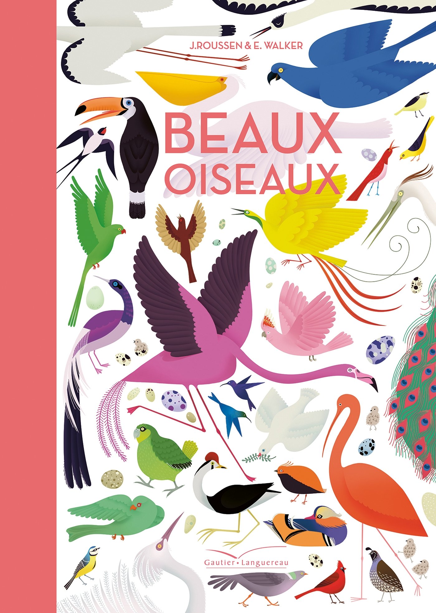 Beaux Oiseaux Jean Roussen 9782012202863 Amazoncom Books
