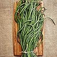 TomorrowSeeds - Yu Long Yard Long Bean Seeds - 30+ Count - for 2025 Planting Early Maturing Heirloom Pole Chinese Vegetable Vining Green Asian Cowpea Edamame Beans Grow Your Own Home Farm Patio