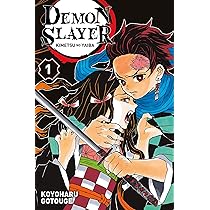 DEMON SLAYER T01: DEMON SLAYER T01 : Gotouge, Koyoharu: Amazon.ca