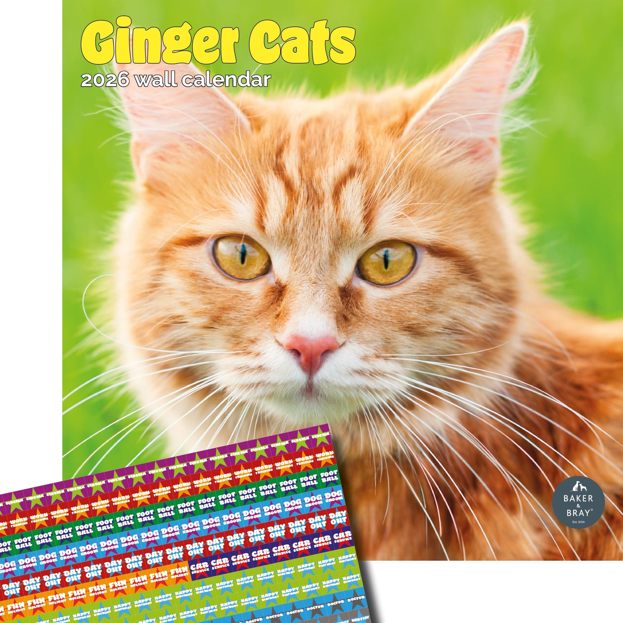 Baker and Bray Ginger Cats Calendar 2026, Large Square Wall Calendar With Organisational Stickers, 16 Month, Ginger Cats Gift Cat Calendar
