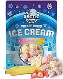 Arctic Farms Freeze Dried Ice Cream that Does Not