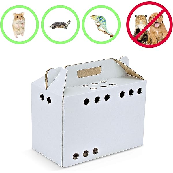 disposable pet carrier