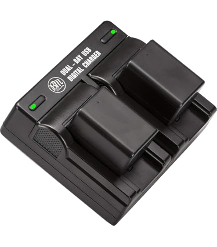 Amazon.com: BM Premium 2 Pack VW-VBK180 Batteries for Panasonic HC