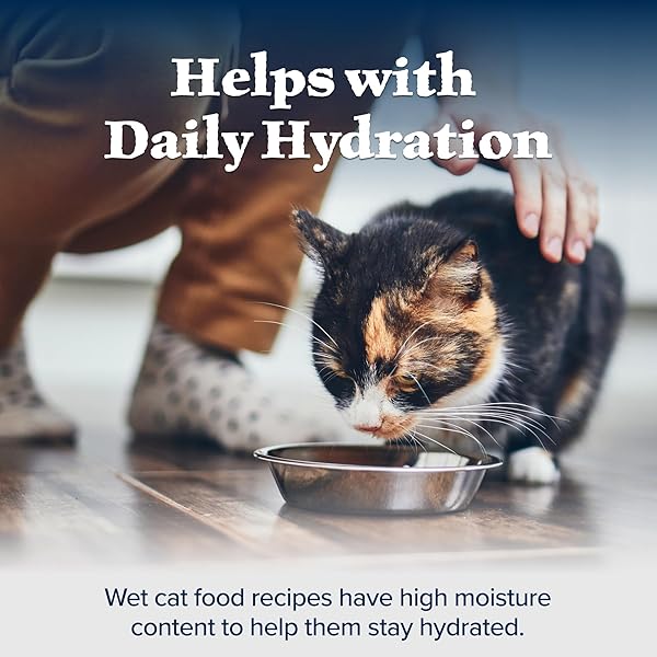 BLUE BUFFALO WILDERNESS HIGH-PROTEIN GRAIN-FREE WET FOOD FOR ADULT CATS 7+, CHICKEN RECIPE, 5.5-OZ., 24-COUNT