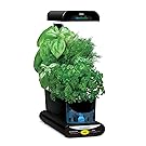 AeroGarden Sprout with Gourmet Herb Seed Pod Kit, Black