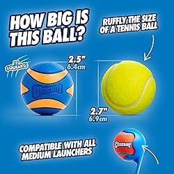 Chuckit! Ultra Squeaker Balls for Dogs, Floating