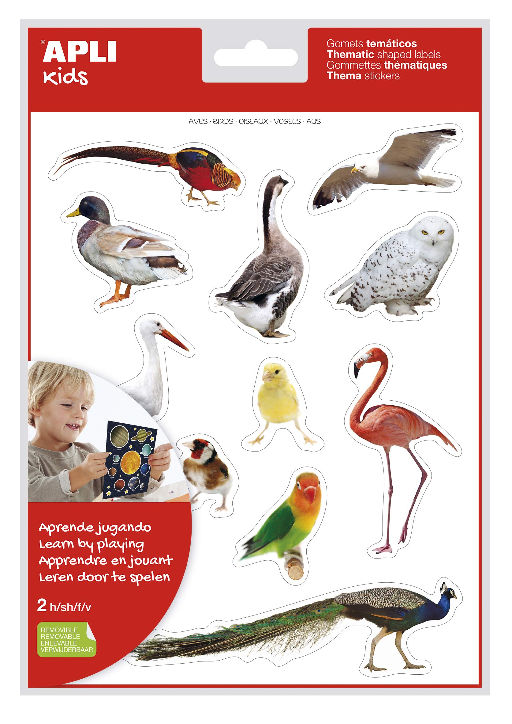 APLI Kids 17630 Realistic Birds Bag Removable Sticker 2 Sheets 12 Rubber Bands Per Sheet — image 1