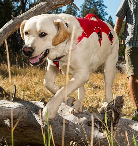 amazon ruffwear dog harness
