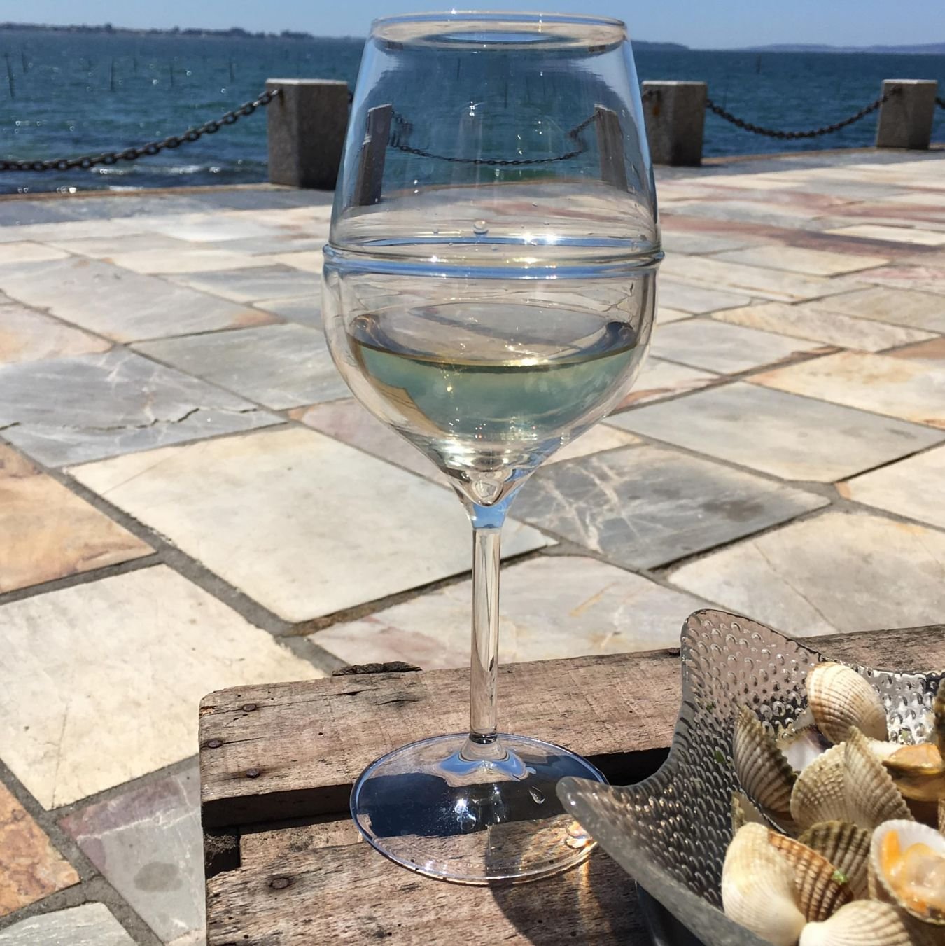 Copas de Vino Térmicas para vino blanco y rosado