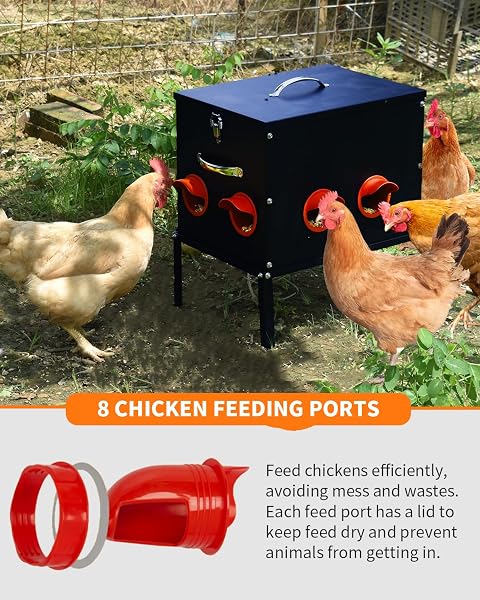 AUTOMATIC CHICKEN FEEDER –50 LBS 8 FEEDING PORTS,LARGE METAL CHICKEN FEEDERS – NO WASTE POULTRY FEEDER WITH LOCKING LID AND LEGS FOR INSIDE COOPS