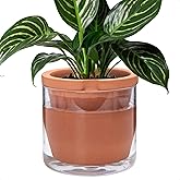 D'vine Dev 8 Inch Design Self Watering Pot for Indoor Plants, Terracotta Planter with Cylinder Glass Cup, 37-X-C-1