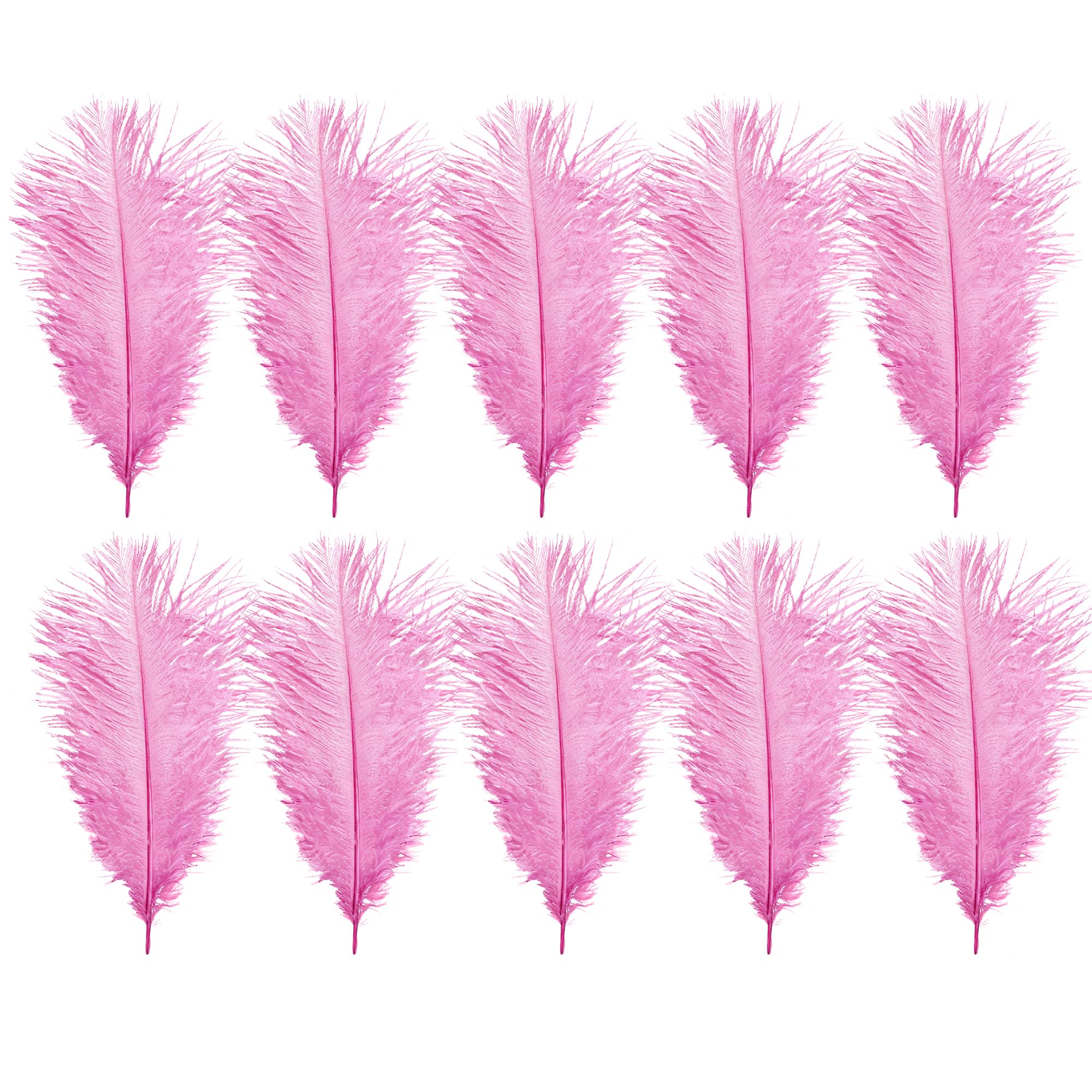 WedDecor Baby Pink Natural Ostrich Feathers 14-16" (35-40cm) Long for Wedding Centerpieces, Home, Decorating Costumes, Embellishment, Art & Craft, Parties (Pack of 10)