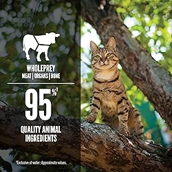 ORIJEN Premium Pate Wet Cat Food in Bone Broth