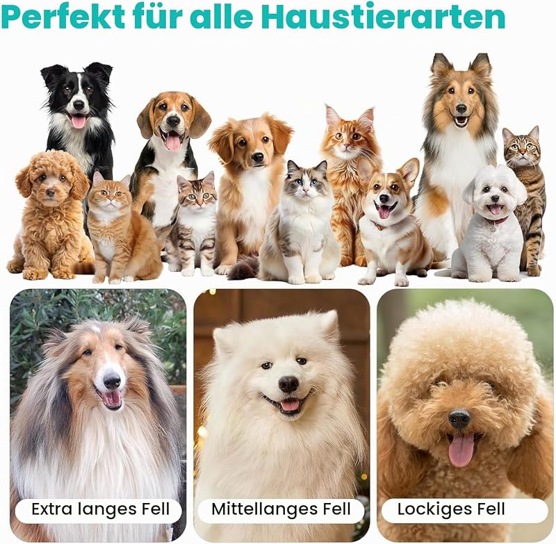 P1 Pro Hundeschermaschine mit Staubsauger, leise Schermaschine Hund Katze, Profi Haustierpflegeset, Tierhaarschneidemaschine, elektrische Hundetrimmer mit 5 bewährten Pflegewerkzeugen