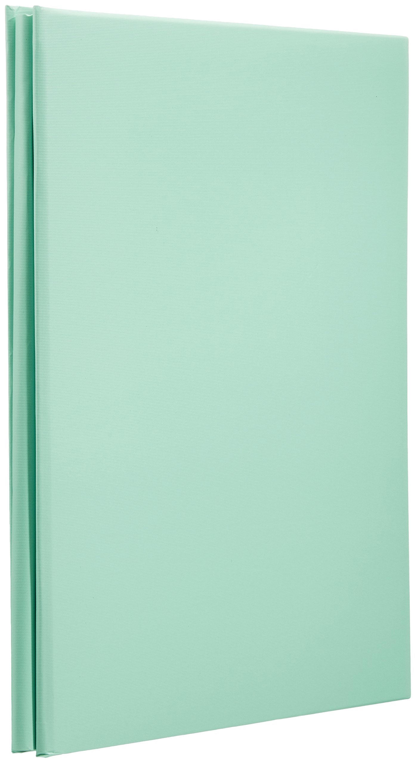 ナカバヤシ フリーアルバム スウィートカラーズ 100年台紙A4 ブルー アH-A4F-142-Bの商品画像