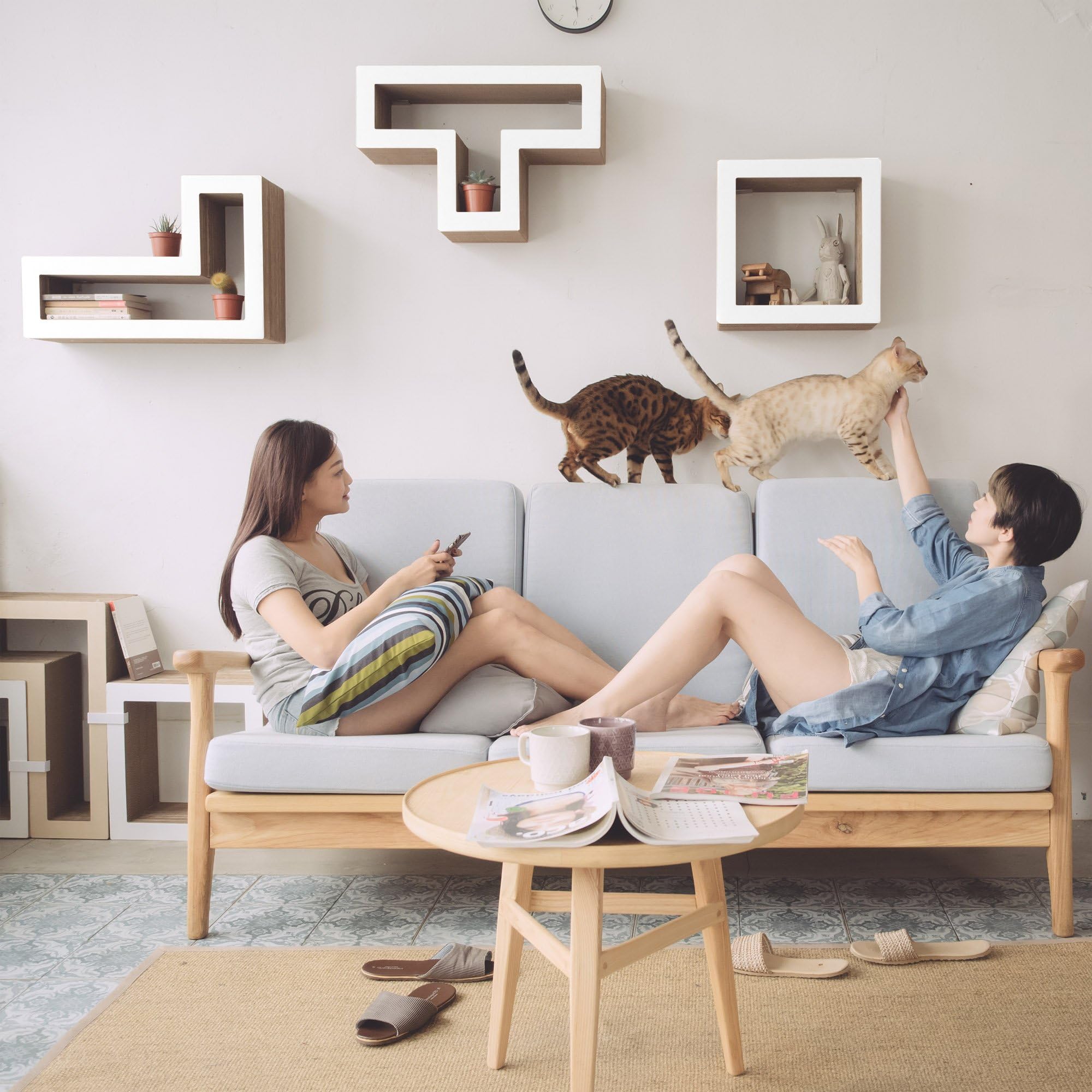 KATRIS Shelves - Modular Cat Shelves - 3 Blocks