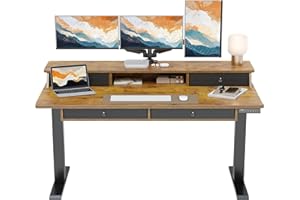 ErGear Electric Standing Desk with 4 Drawers, 55" x 30" Height Adjustable Desk with Storage, C-Clamp Mount Compatible, Computer Home Office Table with Cable Management Tray, Vintage Brown