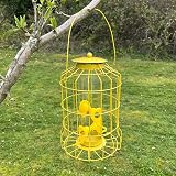 Selections Squirrel Proof Hanging Wild Bird Feeders Nut Seed Fat Ball Cage Pack view 7